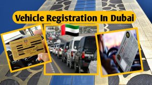 Vehicle Registration In Dubai